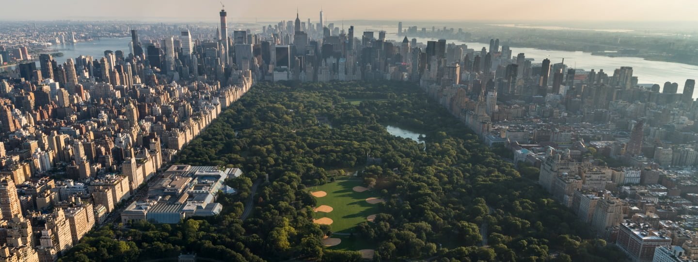 New York - Central park - Conscious Together hero image