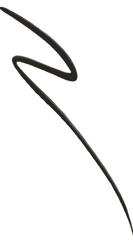 Maybelline Eyeliner master precise all day black 041554275940 t